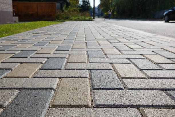 Best Residential Paver Driveway  in Venus, TX